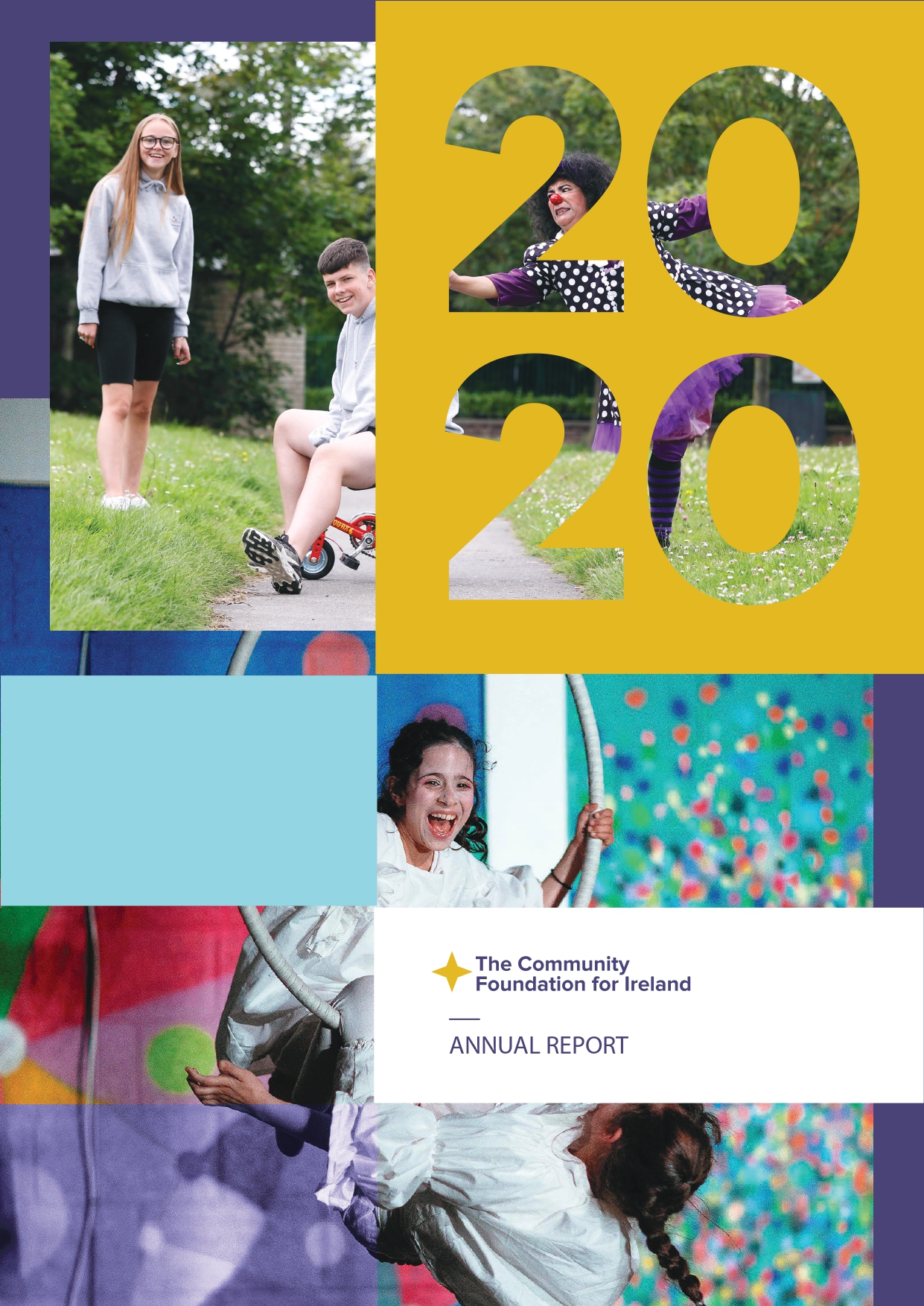 Appendix to 2020 Annual Report