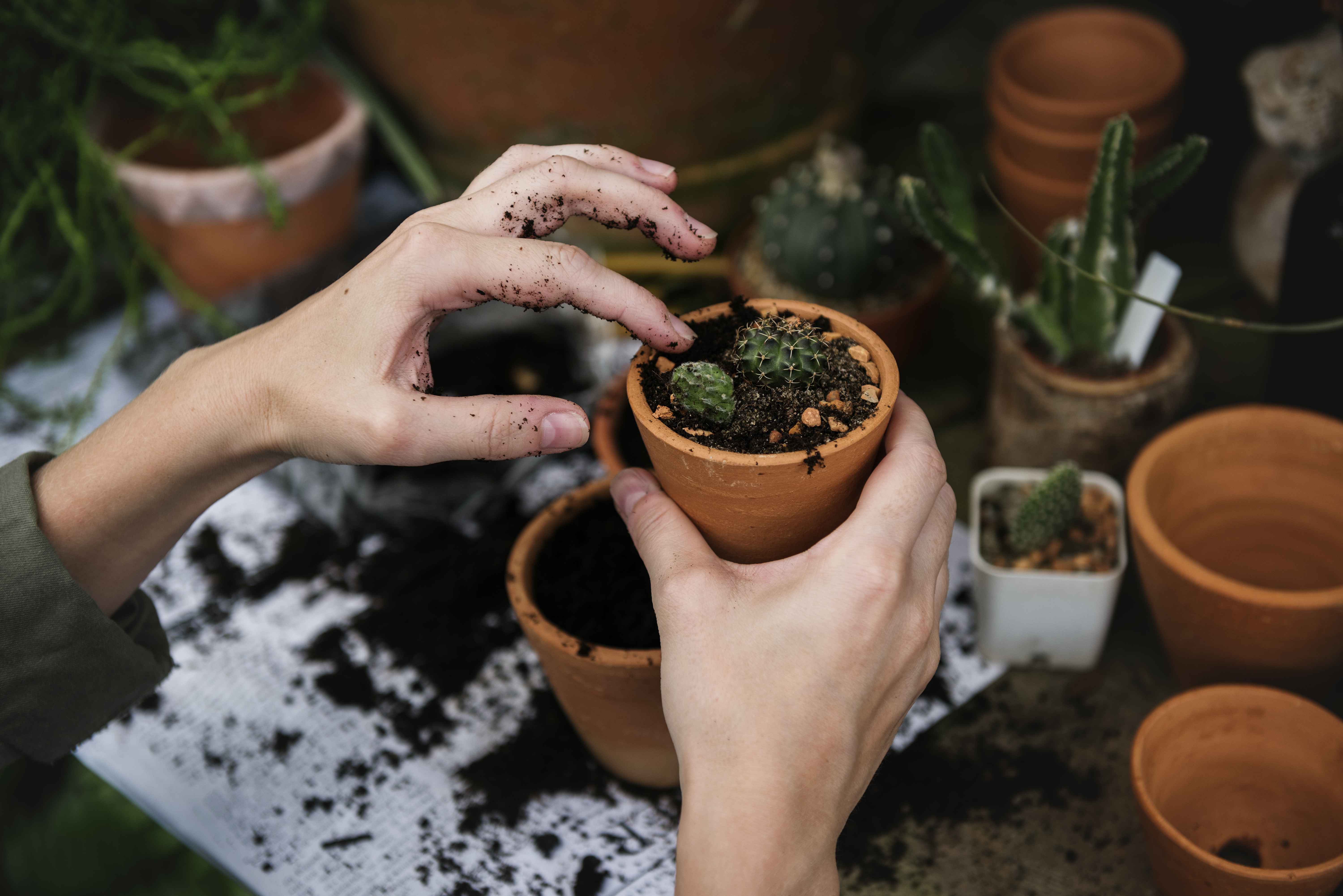 ​​​​​​​Environment and Nature Fund 